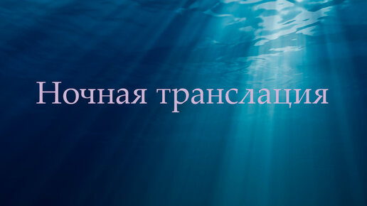 Ночная Трансляция. Каких людей вы притягиваете в свою жизнь и почему