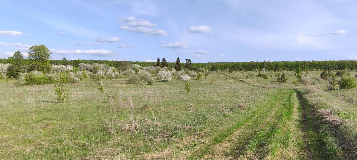 Окрестности села. Фото автора