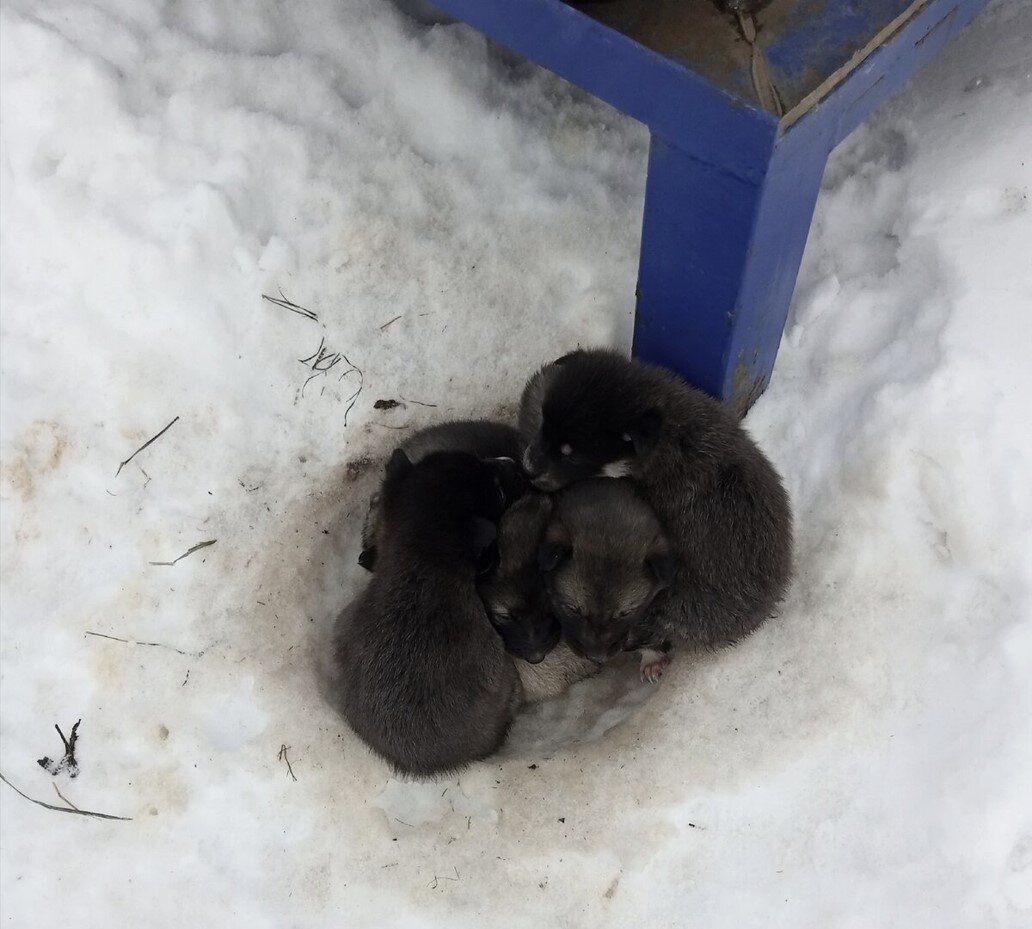 так пролежали всю ночь