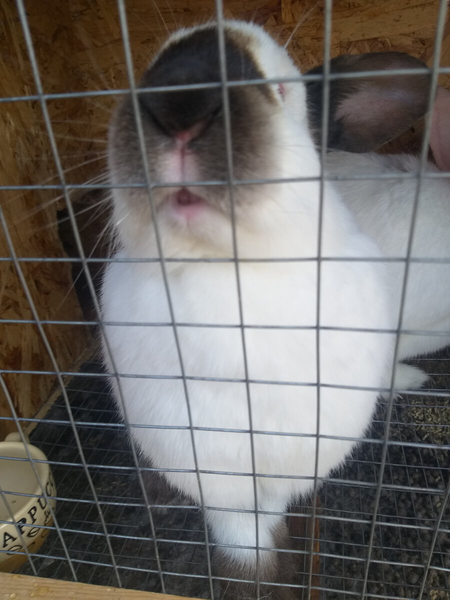 С моих слоа записано верно