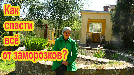 Как спасти растения от заморозков?