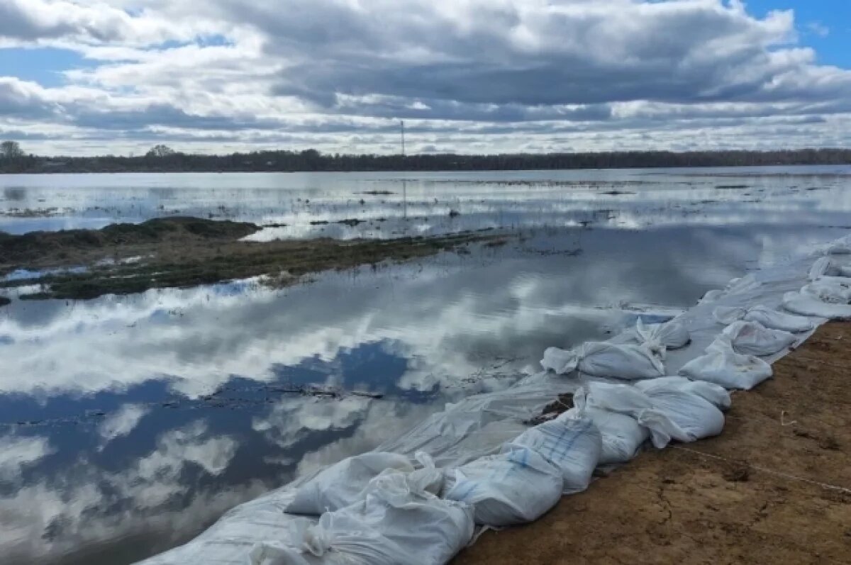 В тюменском селе Викулово 3 мая вода поднялась до 11,51 м | АиФ–Тюмень |  Дзен