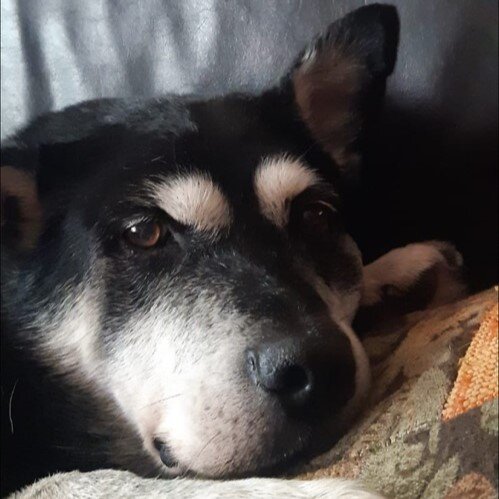 тот самый Дружочек