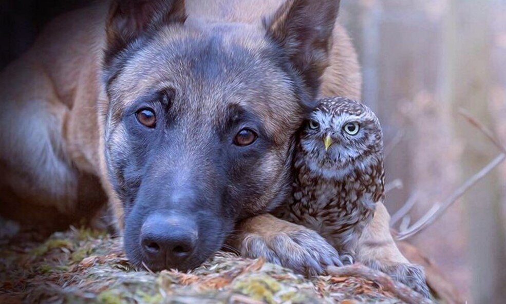 Фото: Tanja Brandt