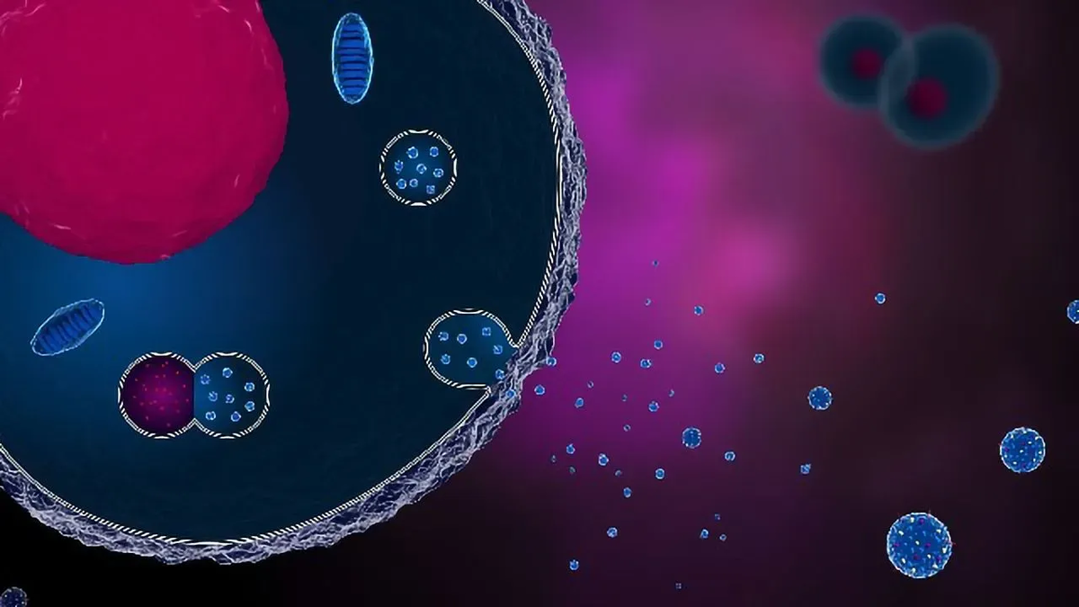 Иллюстрация: technologynetworks.com