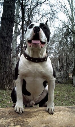 Касперович❤️