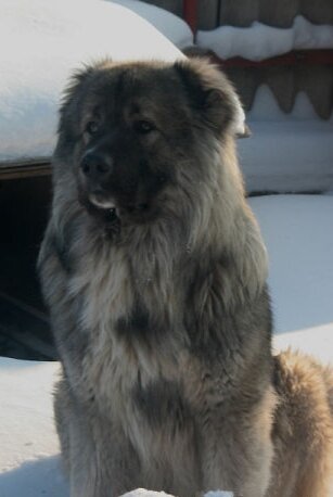 Барханчик❤️