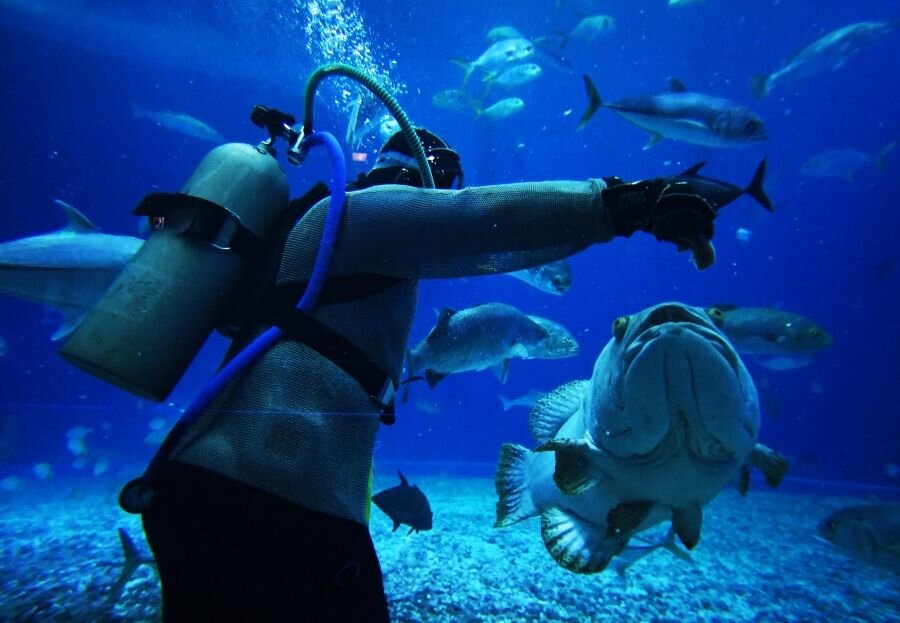    © Виталий Аньков/РИА Новости