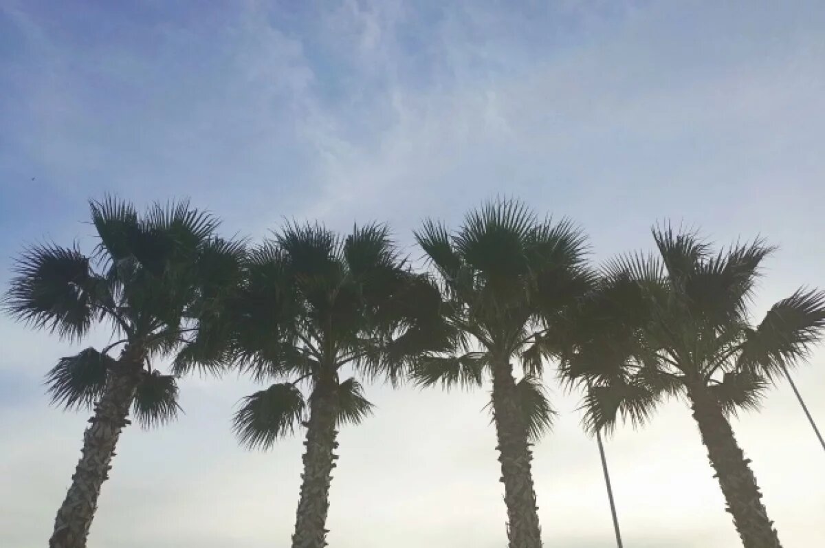    Арутюнов: цена на отдых в Сочи выросла более чем на 15%