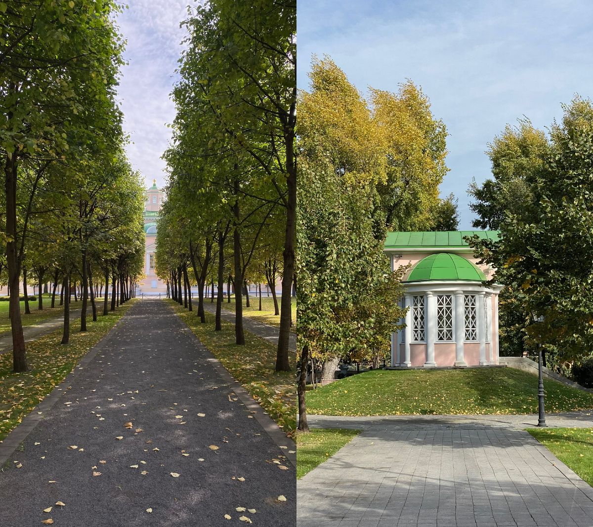 Фото автора канала. Парк «Екатерининская больница».