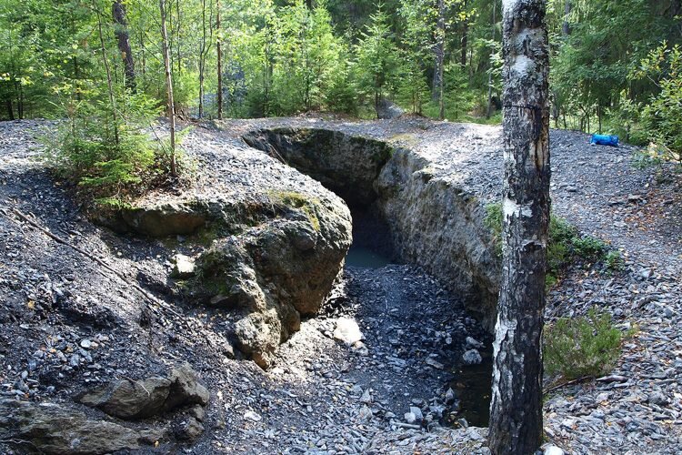 Фото взято из открытого источника