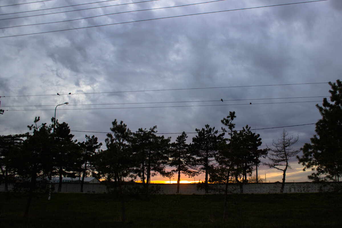 Вид из наших окон