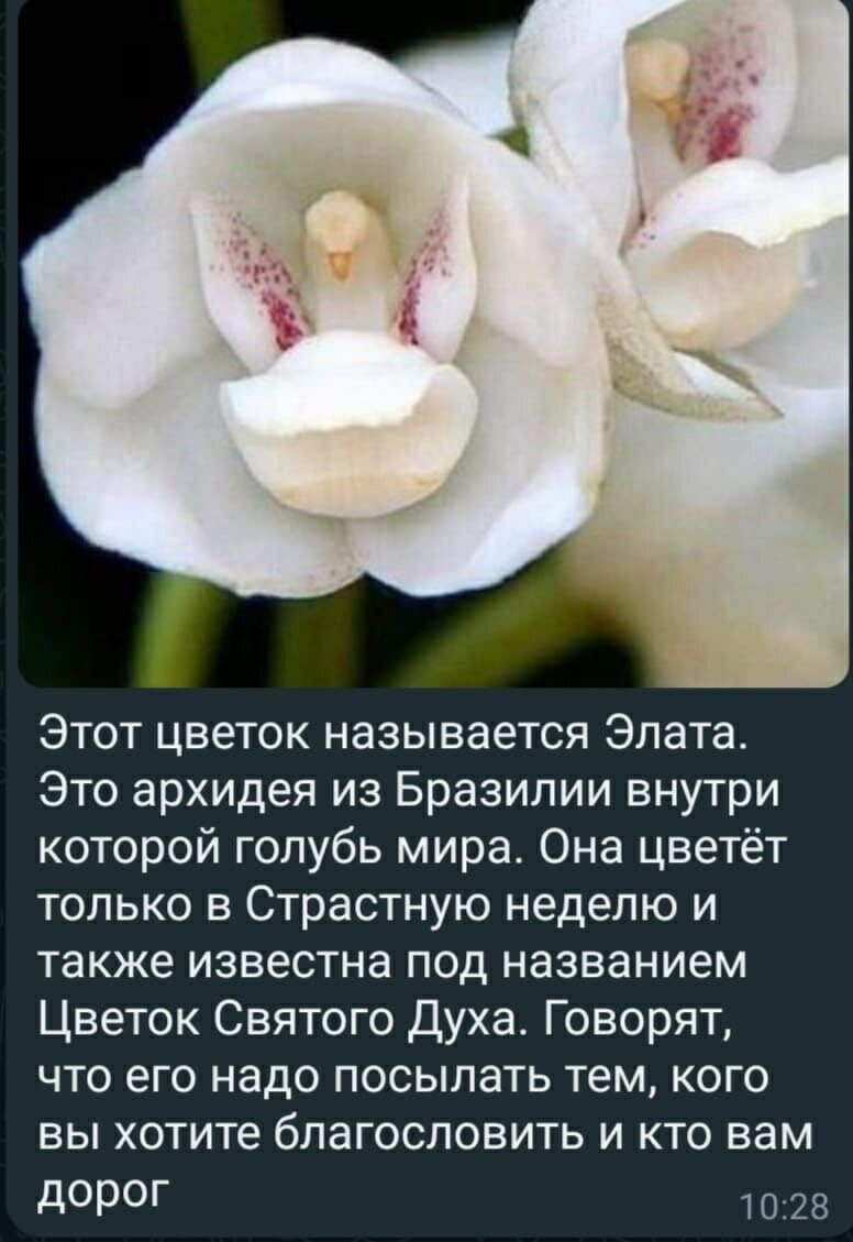 Моим подписчикам, всё для вас