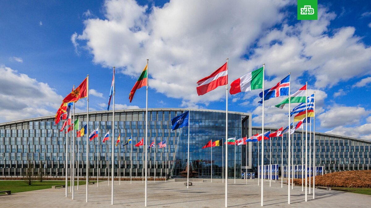    Фото: nato.int
