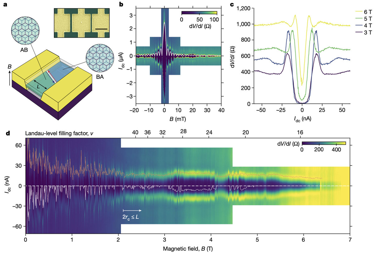   Julien Barrier et al. / Nature, 2024