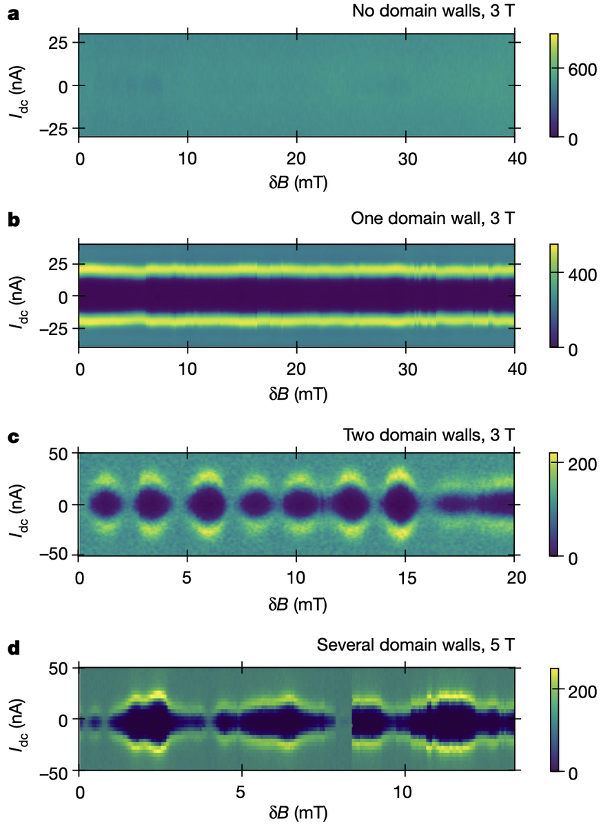   Julien Barrier et al. / Nature, 2024