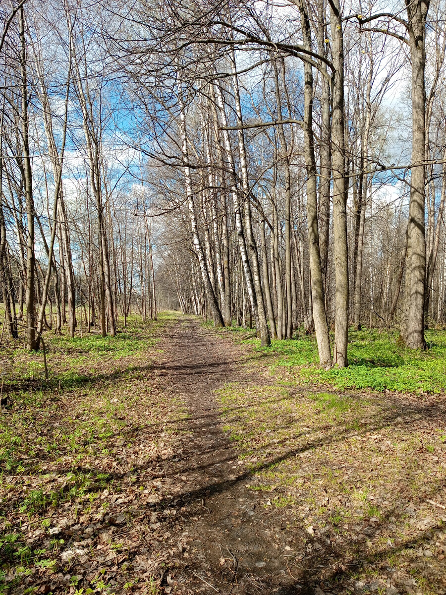 Это Москва. Лосиный остров. Вот такая неофициозная Москва.