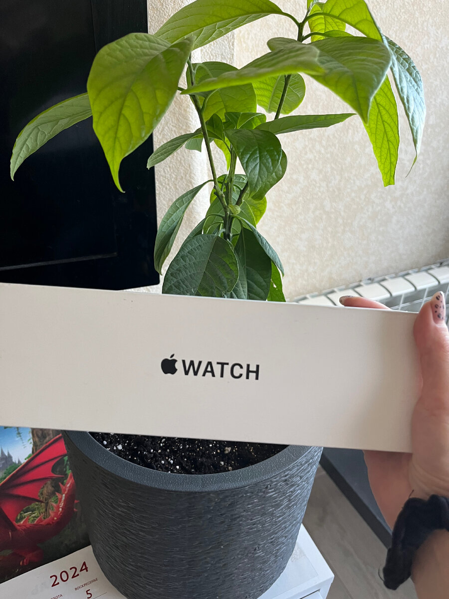 Мечты  сбываются )))