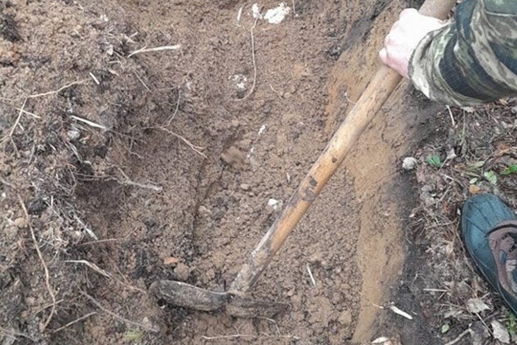    Фото: ГУФСИН России по Свердловской области Лариса Ангелина
