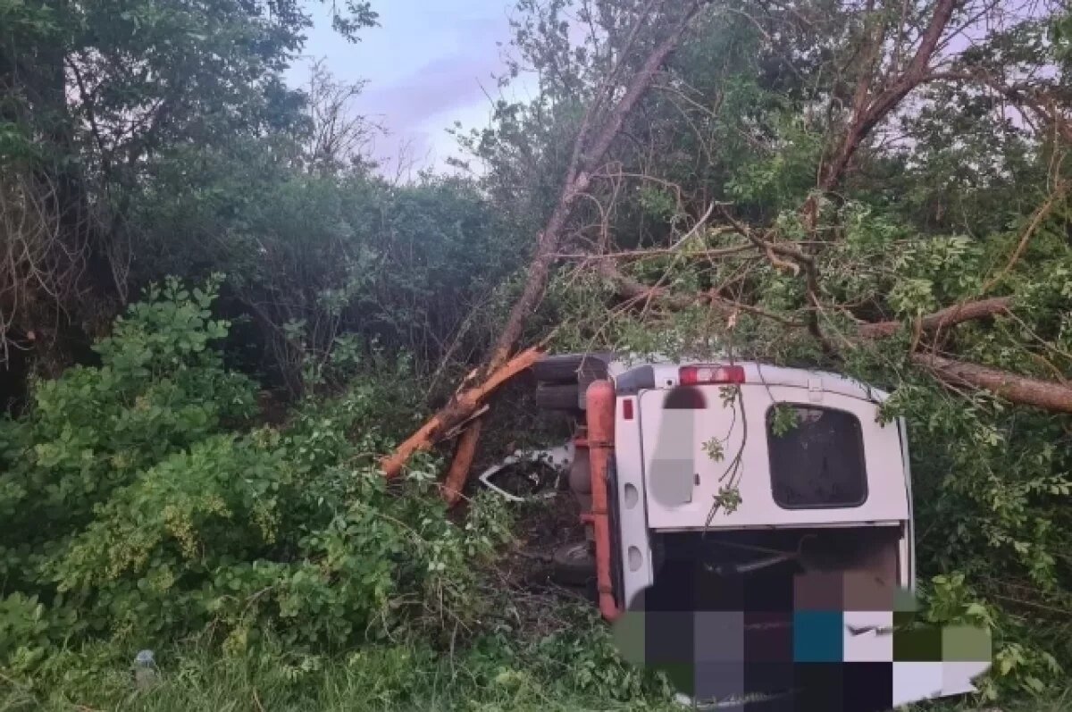 В жутком ДТП с автобусом из Сальска погибли водитель и молодая девушка |  АиФ Ростов | Дзен