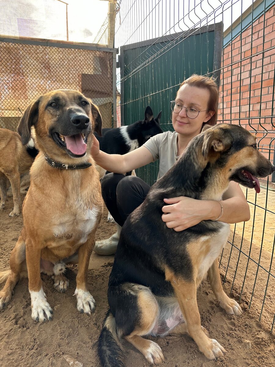 каждому хочется ласки