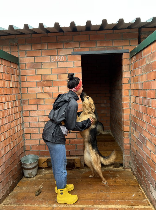 они умеют быть благодарными