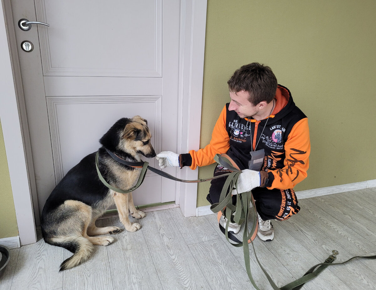 без добрых людей нет социализации