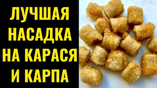 Насадка для рыбалки на КАРАСЯ, КАРПА. Фидер, донка, поплавок.