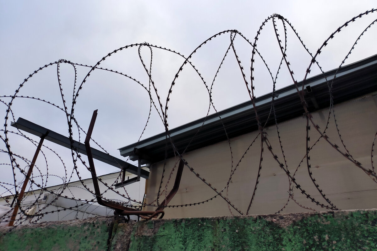 Фото: Maksim Konstantinov / Global Look Press 