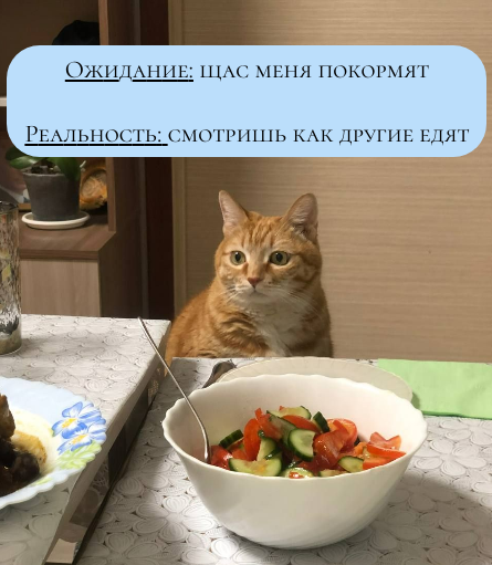 Шкипер часто обламывается в своих ожиданиях. Не будьте как Шкипер