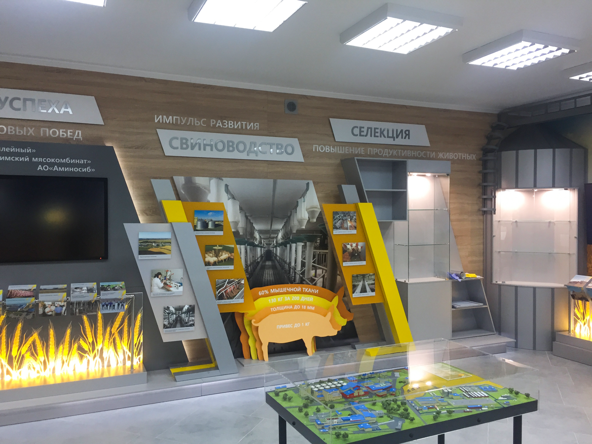 готовые стенды музейного пространства