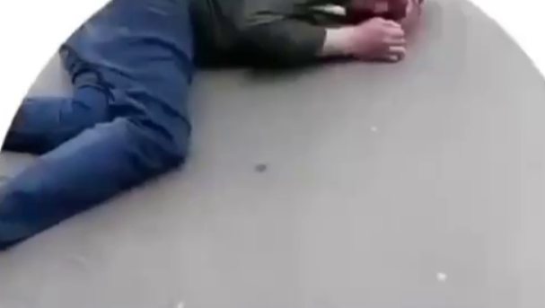фото: скриншот видео из телеграм-канала "Многонационал"