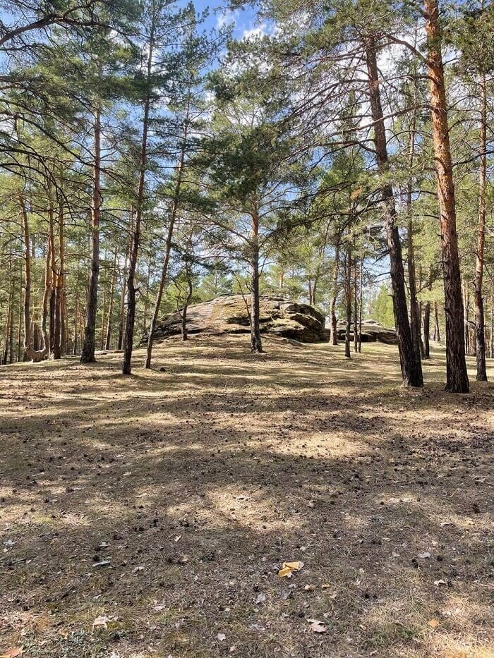 Святилище в Варламовском бору. Фото предоставлено автором