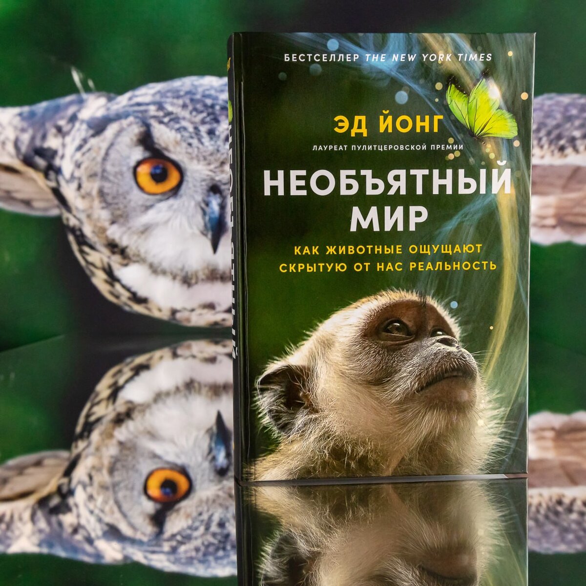 Сегодня хочу рассказать вам об одной новой замечательной книге про животных (давно не было этой рубрики, исправляюсь), которая вышла в издательстве Альпина нон-фикшн.