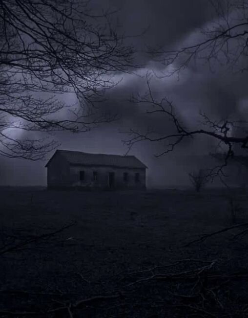 Изображение взято из открытых источников интернета. 