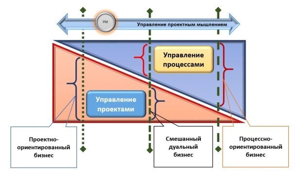 Рис.1 Единство и связь управления проектами и управления процессами.