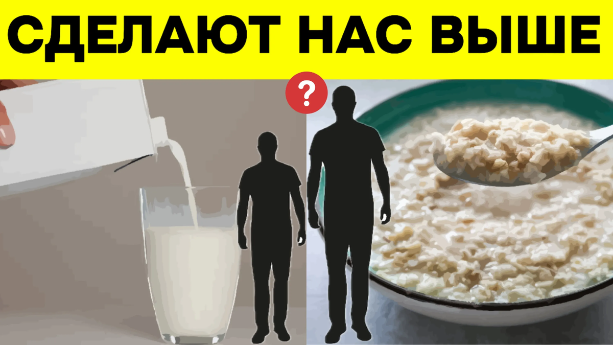 5 основных продуктов, которые сделают нас выше? Разбираемся, так ли это на  самом деле и в чем тут подвох | Игорь Ботоговский | Дзен