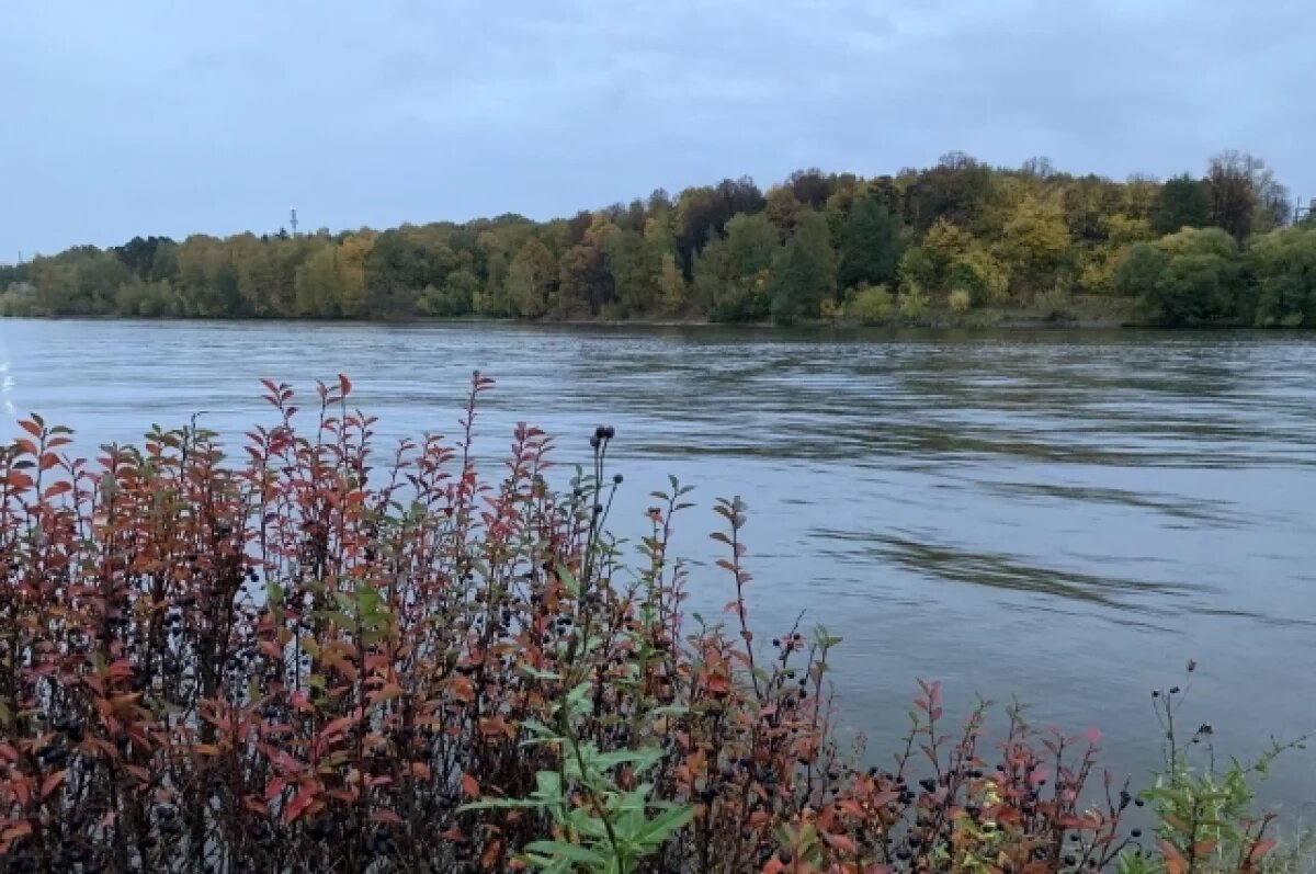    Жители Пермского края сняли на видео гроб, плывущий по реке Бабке