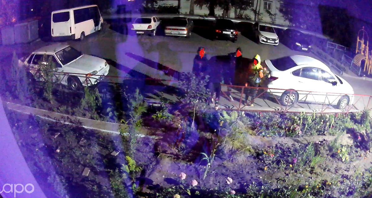 Прямо свиньи...