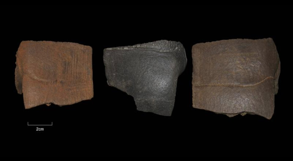   Uwe Beye / Landesamt für Denkmalpflege und Archäologie Sachsen-Anhalt