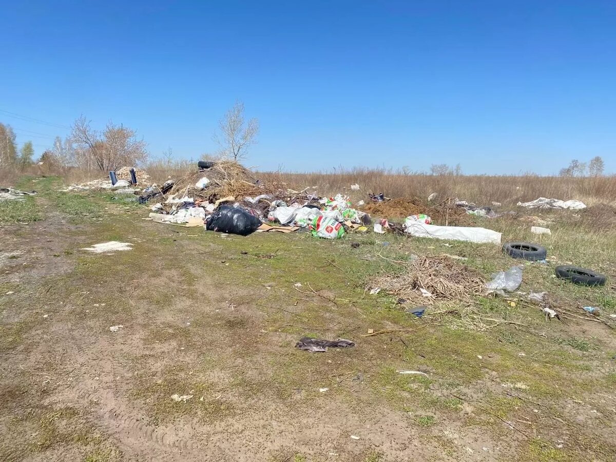     Источник: Предоставлено Городу55