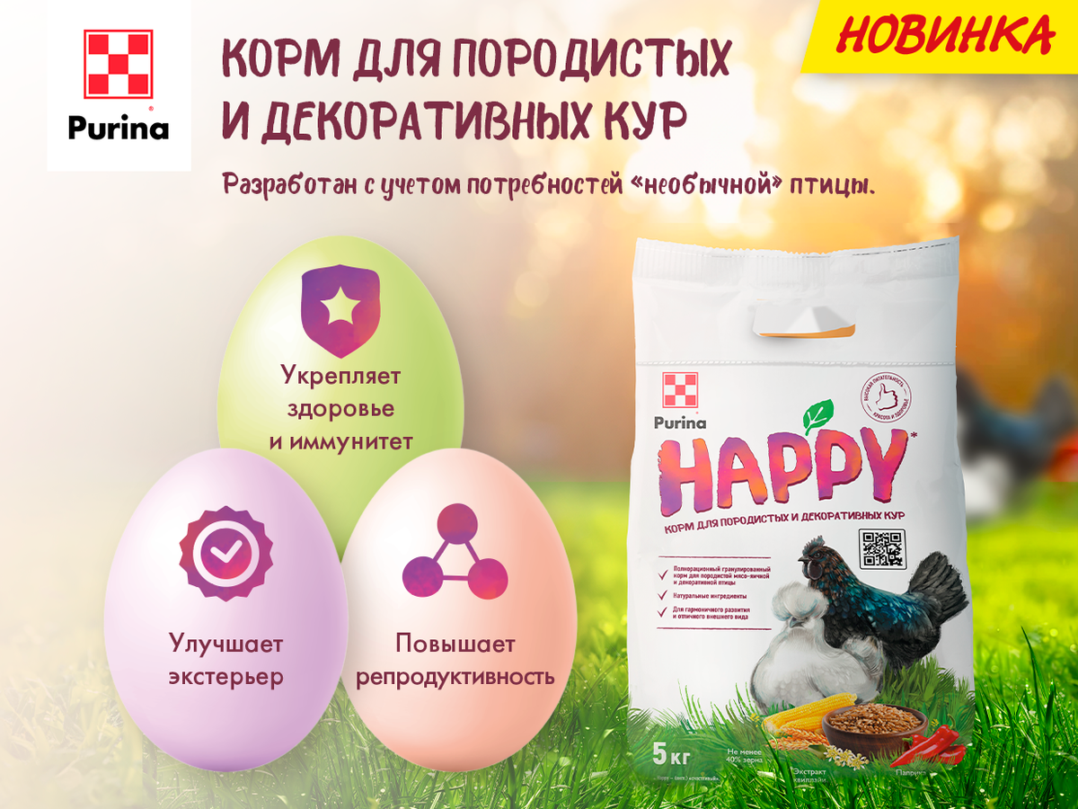 Новинка Purina® HAPPY: специализированный корм для породистых и  декоративных кур, а также для родительских стад в период размножения |  ПРОФИ своего дела | Дзен