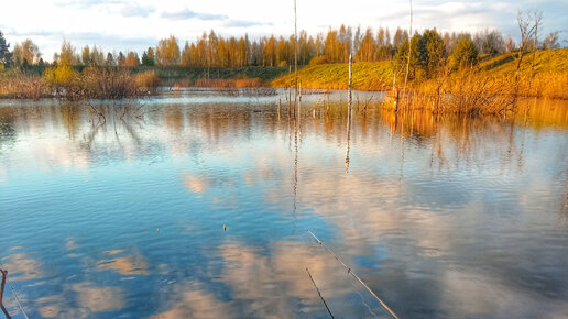 Ловлю КАРАСЕЙ МОНСТРОВ в коряжнике РЫБАЛКА на поплавок Russian fishing