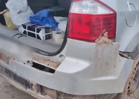    В Ленинградской области федералы ликвидировали украинского террориста