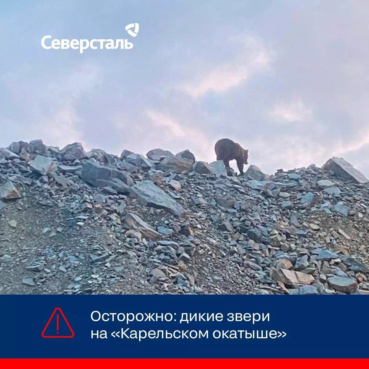     Источник: Карельский окатыш / vk