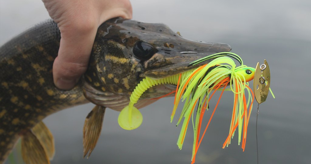 Как ловить на чаттербейт Lucky John