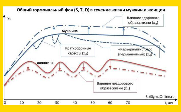 Общий гормональный фон мужчин и женщин в течение жизни
