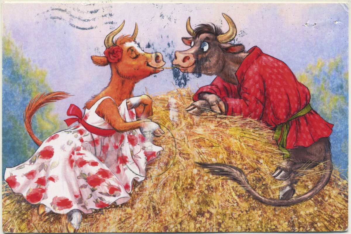 не знаю, кто автор, высветилось в подборке Рины Зенюк