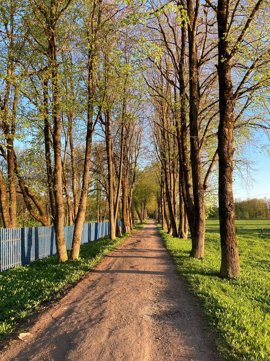 Фото: личный архив