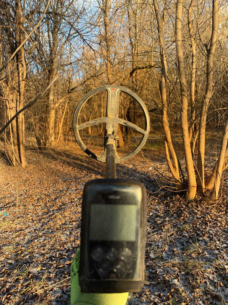 Лес одна из моих любимых локаций